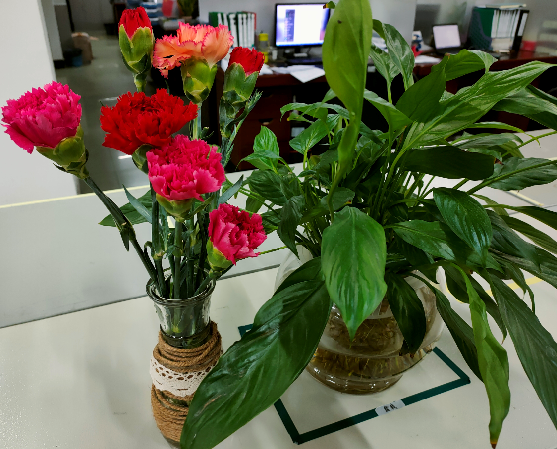 ng������Ϸ��(�й���)�ٷ���վ